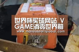 世界杯买球网站_VGAME消零世界前期用什么角色好 前期使用角色推荐(图2) 世界杯买球官网